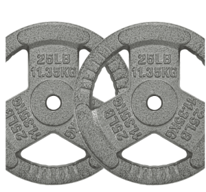 Only Supports Self Pickup  1-inch Standard Cast Iron Weight Plates For Strength Training And Weight Lifting, Multiple Weights (Option: 25LB Pair)